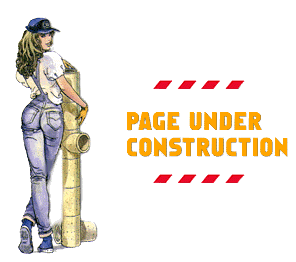 const3.gif (16596 bytes)